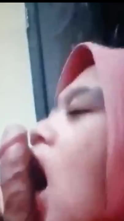 Original Sore Hari Hujanhujan Sepong Kontol Enaknya DoodStream