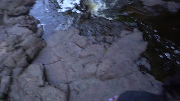 2175455604 Public Agent - Risky POV Blowjob By River In State Park Amateur Hippie Teen Model Swallows Cum 4K