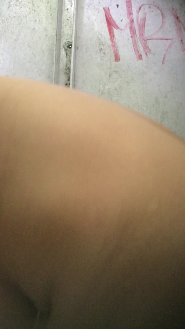 8477 IMG