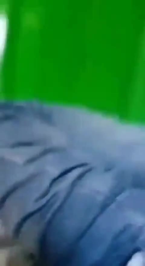 Thumbnail untuk Mahasiswi Unand Ngewe Di Masjid Bochiel Links Hijabers
