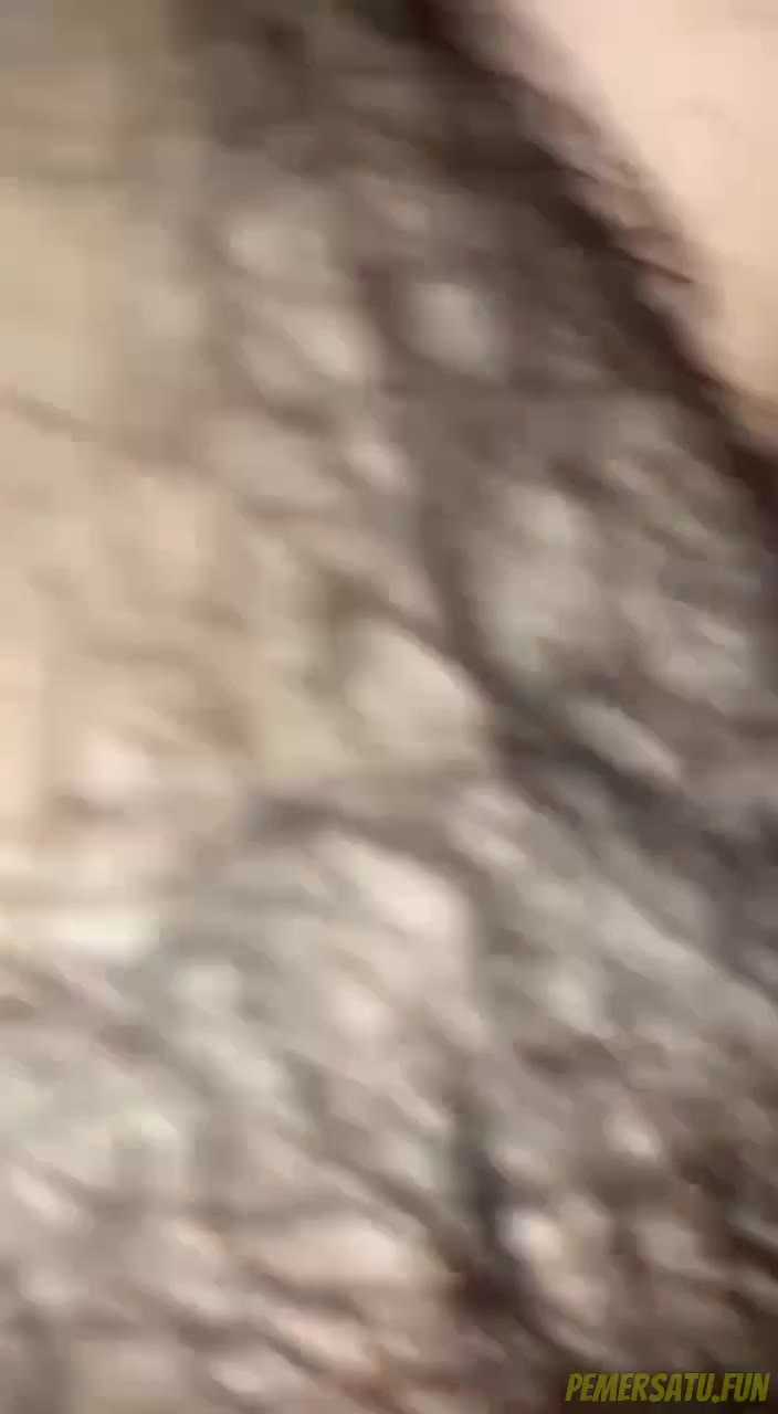 9592 IMG