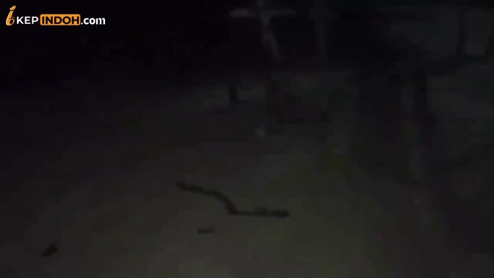 Thumbnail untuk Bokep Indo Malem Diajak Main Di Pantai Bokepindoh