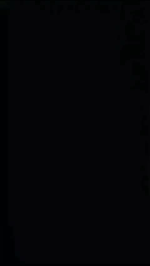 P2-merged-1681937410576 Aleeya