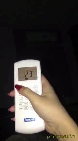 P6 Jvids