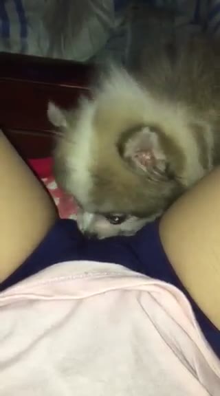 Video-1471456722