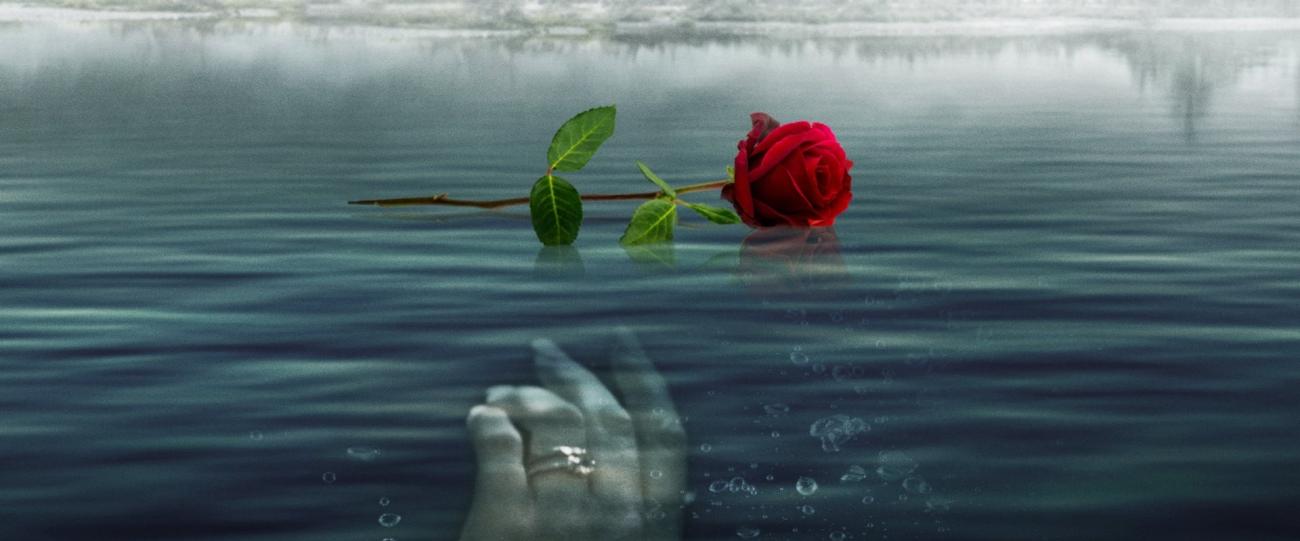 Watch A Rose for Her Grave: The Randy Roth Story (2023) Free On