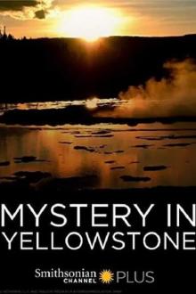 Mystery in Yellowstone