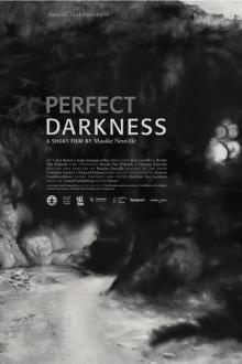 Perfect Darkness