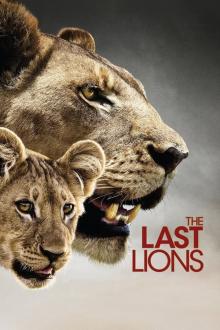 The Last Lions