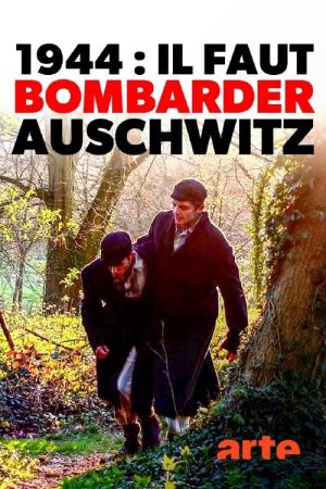 1944: Bomben auf Auschwitz?