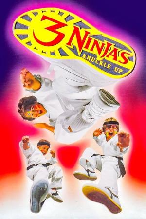 3 Ninjas: Knuckle Up